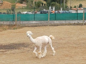 Instalaciones del Núcleo Zoológico Tuernes El Pequeño preparadas para recibir visitas de colegios de Asturias