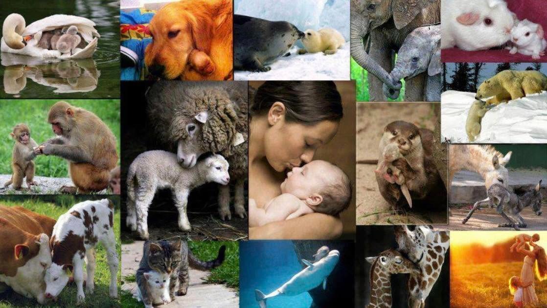 El equipo de guías del Núcleo Zoológico Tuernes El Pequeño ofreciendo visitas guiadas y explicaciones sencillas