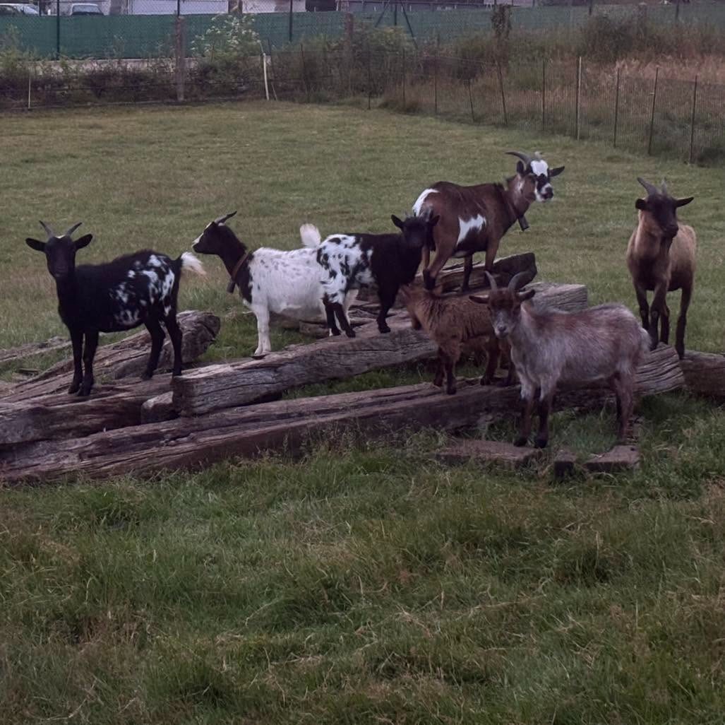 Paisaje natural e instalaciones exteriores del núcleo zoológico y granja educativa en Asturias